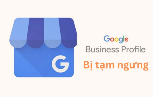 Hướng dẫn báo cáo Google gỡ trang doanh nghiệp trên Google Maps bị tạm ngưng mới nhất 2024